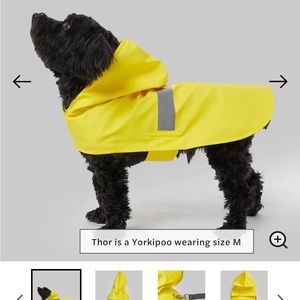 Yellow dog rain coat